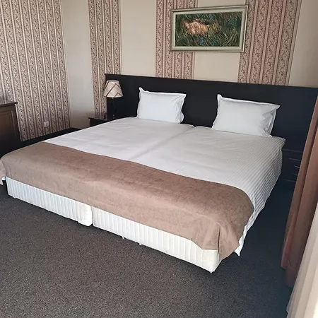 Hotel Хотел-Ресторант Алмонд 3*